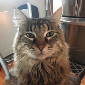 Meet your Posher, John